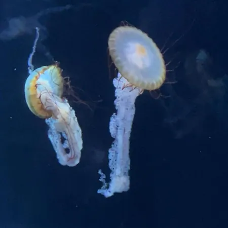 Apartament Lumineux Et Proche De Avec Balcon Et A Cote Du Bois