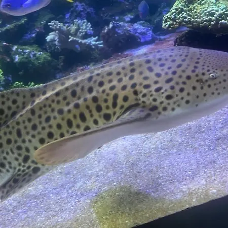 Apartament Lumineux Et Proche De Avec Balcon Et A Cote Du Bois *