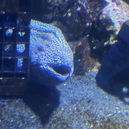 Apartament Lumineux Et Proche De Avec Balcon Et A Cote Du Bois Boulogne-sur-Mer