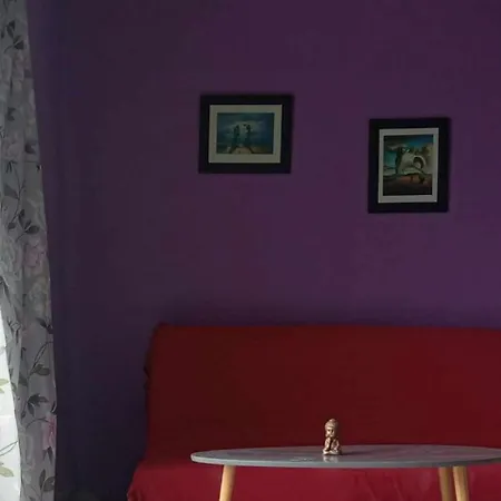 公寓 Lumineux Et Proche De Avec Balcon Et A Cote Du Bois 滨海布洛涅